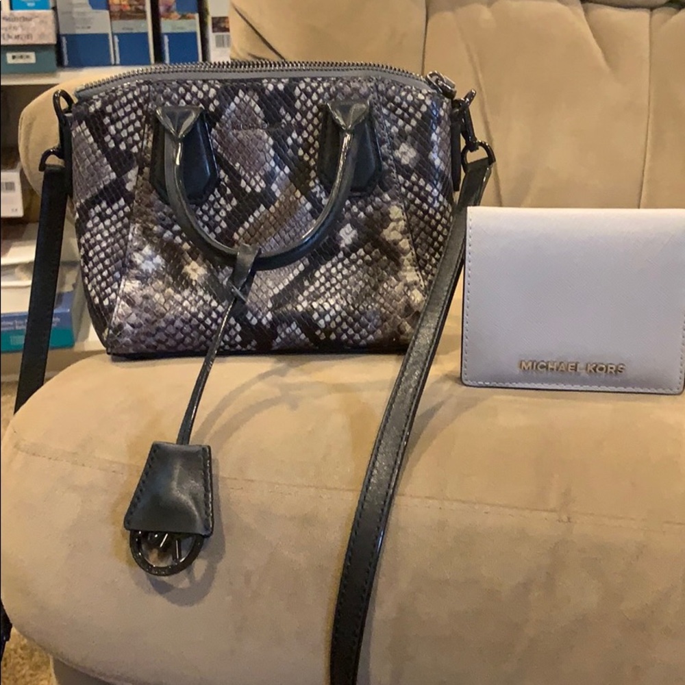 Vintage Snakeskin Cross Body and Wallet